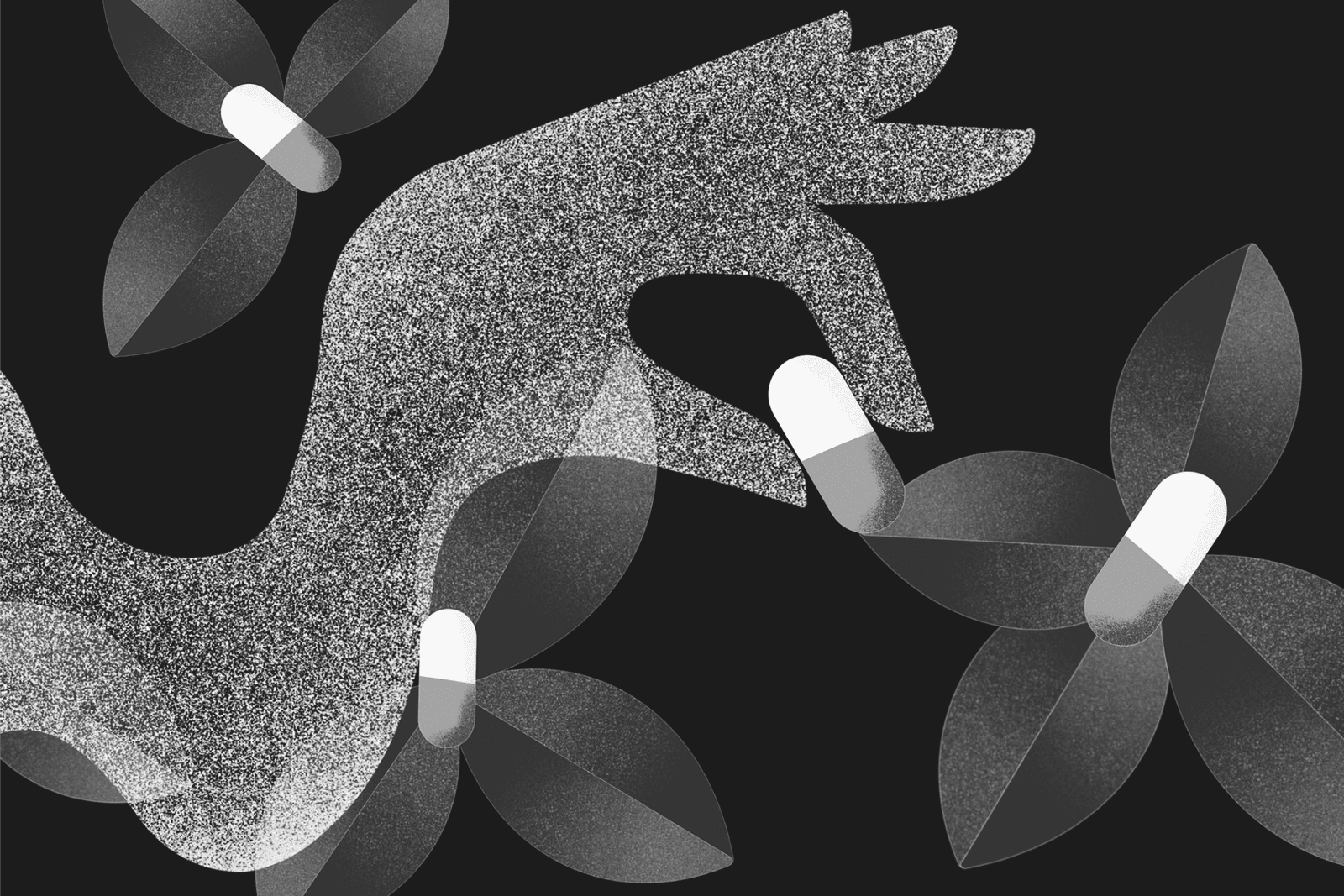 Brand concept – koncepcja marki w pigułce